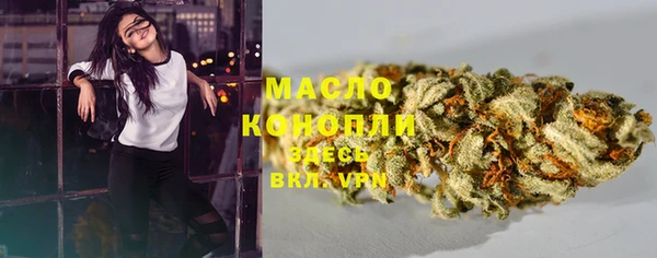 сатива Зеленокумск
