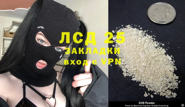 сатива Зеленокумск