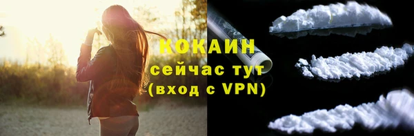 сатива Зеленокумск