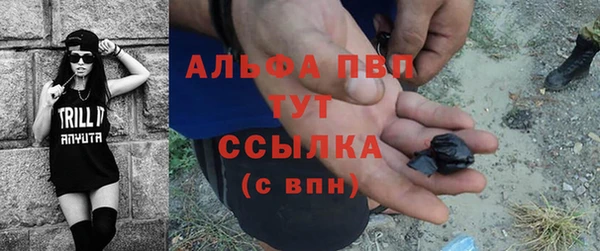 сатива Зеленокумск