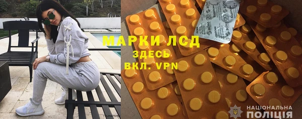 сатива Зеленокумск