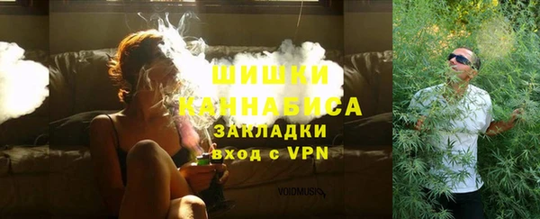 сатива Зеленокумск